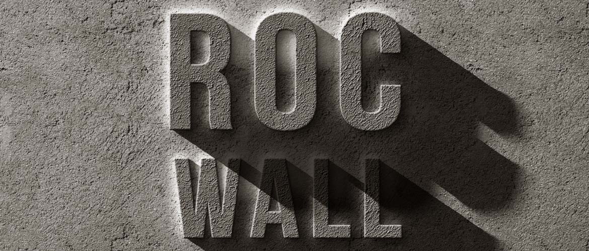 Praesent id augue ligula